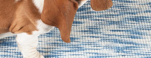 Understanding Area Rugs: Materials and Construction